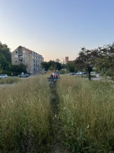 IMG_2920